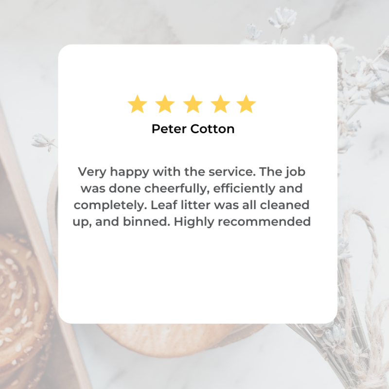 Peter Cotton Gutter Cleaning Testimonial