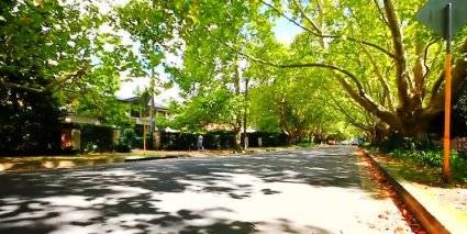 Leafy Street In Castle Hill