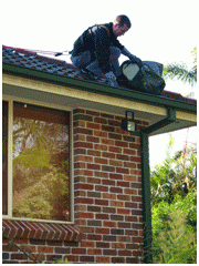 Cronulla Gutter Cleaners