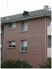 Residential Gutter Cleaner On Roof