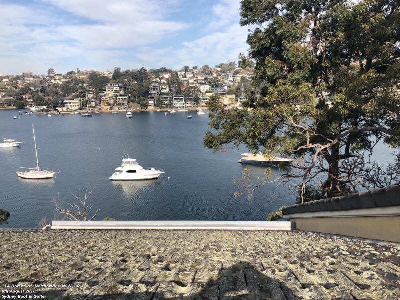 Before and After Gutter Cleaning In the Inner West of Sydney